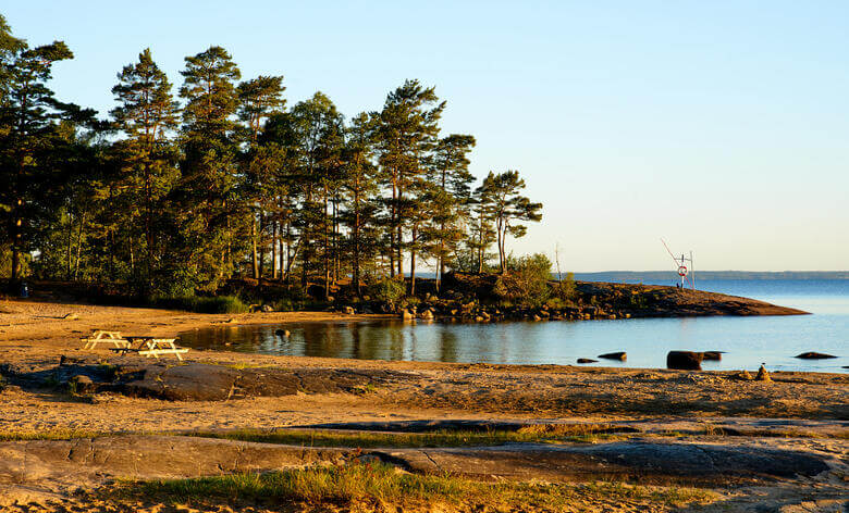 Bäume am Ufer des See Vänern in Schweden