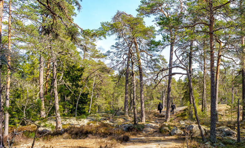 Zwei Wanderer im Tyresta Nationalpark in Schweden