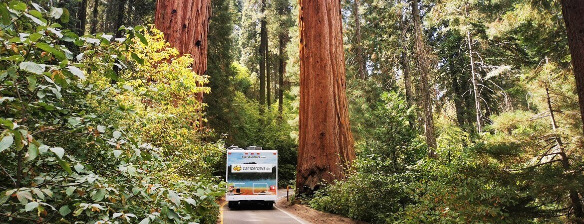 Wohnmobil zwischen Mammutbäumen in Kalifornien