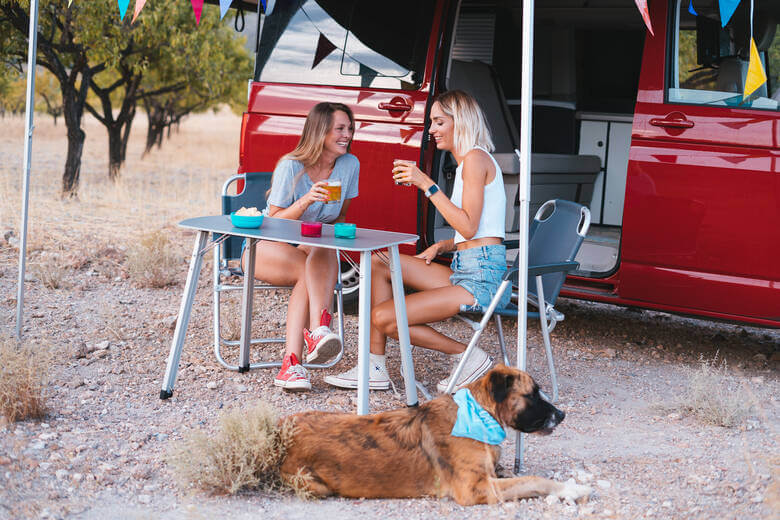 Roter Camper mit Hund