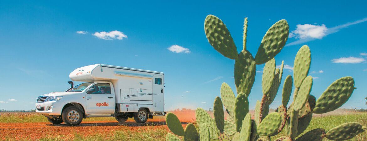 Apollo-Wohnmobil auf einer sandigen Straße vor einer Wiese mit Kaktus.