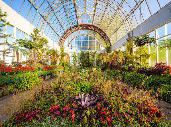 Wintergarten-Gewächshaus in Auckland Domain