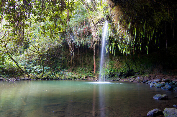 Wasserfall Road to Hana