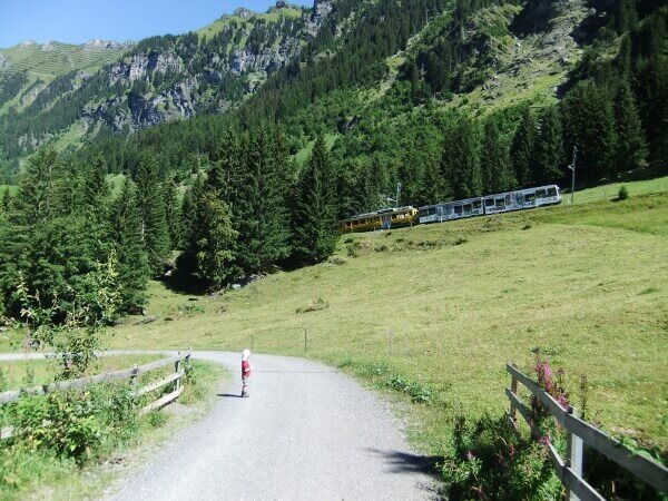 Züge auf dem Weg zur Kleinen Scheidegg