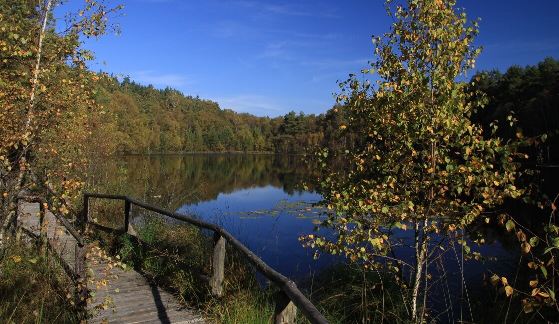 Wildes Deutschland: Der Müritz-Nationalpark