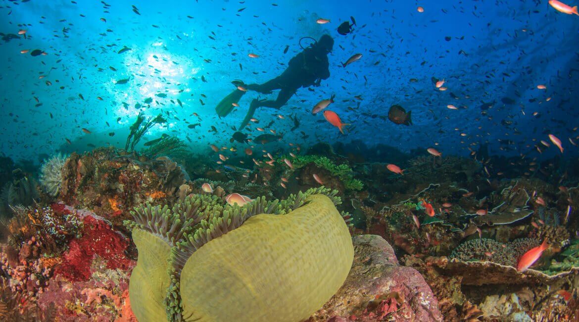 Taucher im Ningaloo Reef