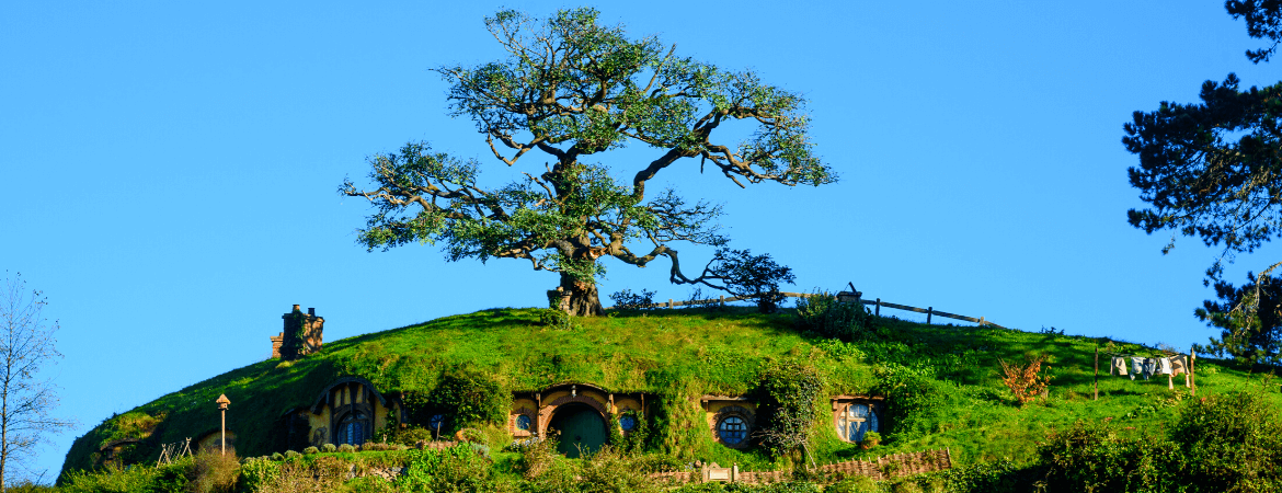 Die schönsten Herr der Ringe Drehorte in Neuseeland | CamperDays Blog