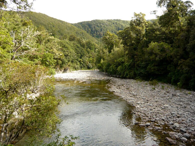 Fluss und Bäume im Kaitoke Regional Park