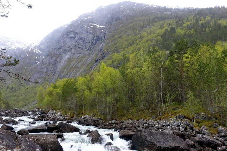 Hardangervidda mit Kinso-Fluss, Bergen und Bäumen