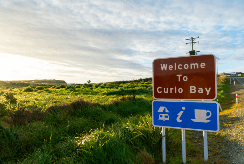 Campen am Meer in Neuseeland