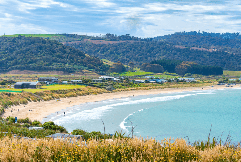 Blick über die Curio Bay in Neuseeland