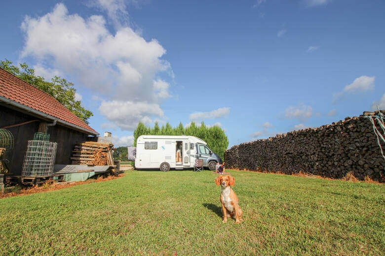 Hund und Camper auf einem Bauernhof 