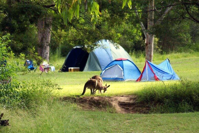 Schild Zelten verboten Zelt Camping in 4 Größen