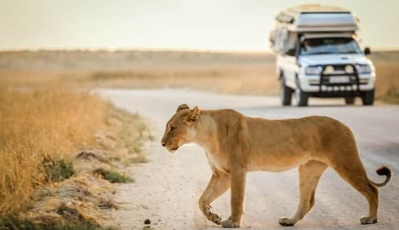 10 gute Gründe für einen Wohnmobil-Urlaub