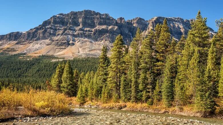 Mosquito Creek im Banff Nationalpark in Kanada