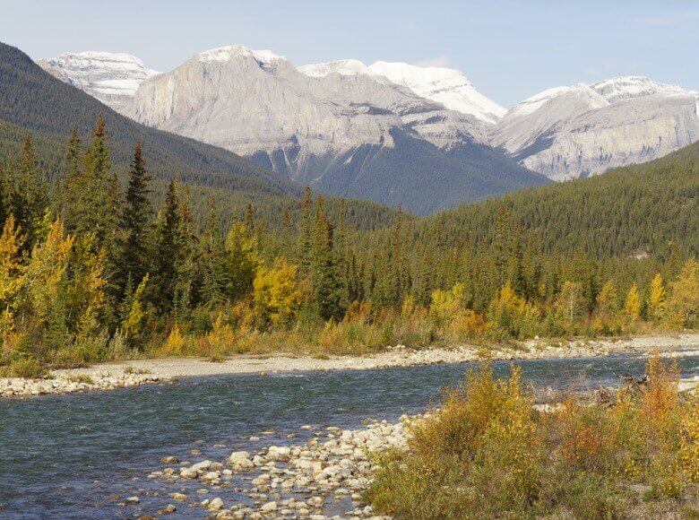 Snaring River im Jasper National Park in Kanada