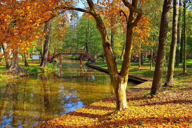 Herbstliche Landschaft am Naturhafen Raddusch im Spreewald