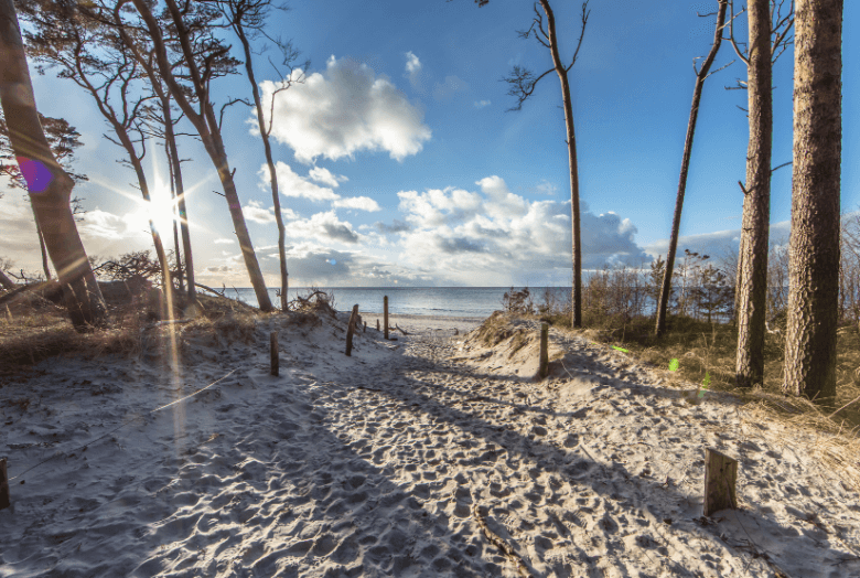 ostsee zingst darsswald wintercamping