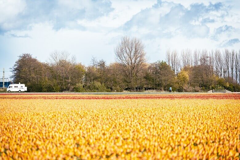 Wohnmobil und Tulpenfelder in den Niederlanden