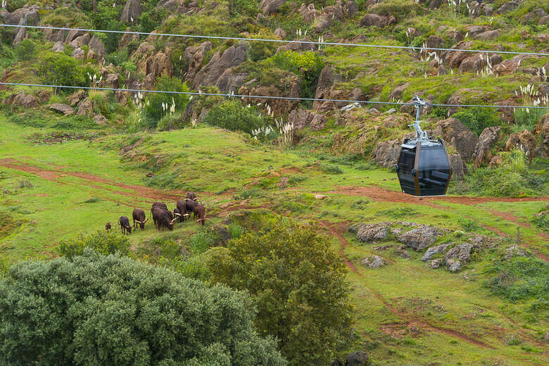 Blick auf die Tiere im Wildpark Cabárceno und die Seilbahn