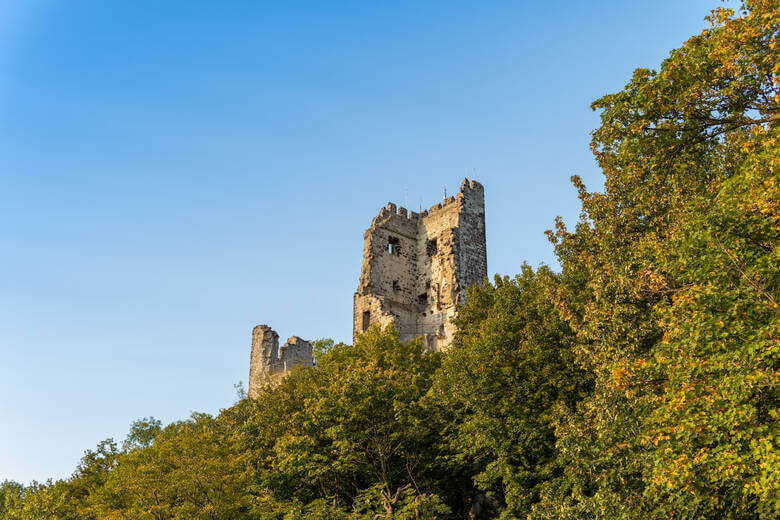 Blick auf Drachenfels