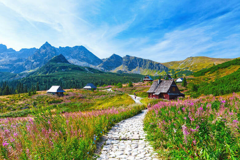 Alm im Tal Dolina Gąsienicowa in der polnischen Hohen Tatra