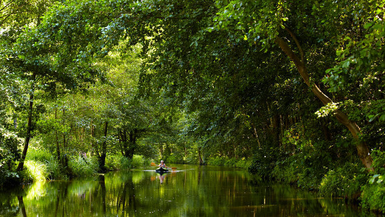 Urlauber fahren im Kanadier durch den Spreewald.