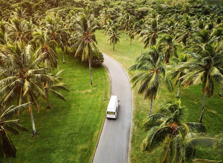 Campervan fährt zwischen palmengesäumte Straße in Australien