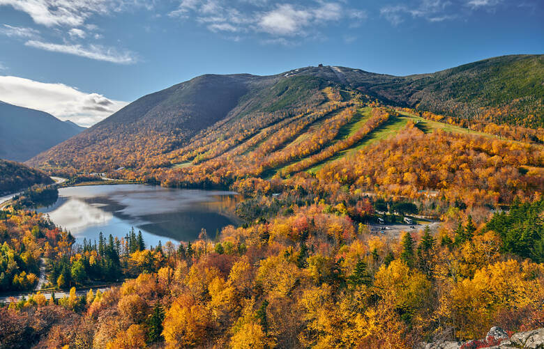 Buntes Herbstlaut im White Mountains National Park in den USA