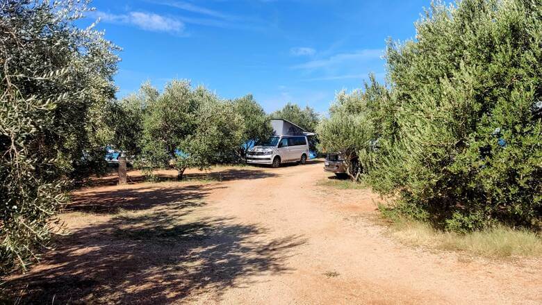 Camp Wodenča in einer Olivenplantage
