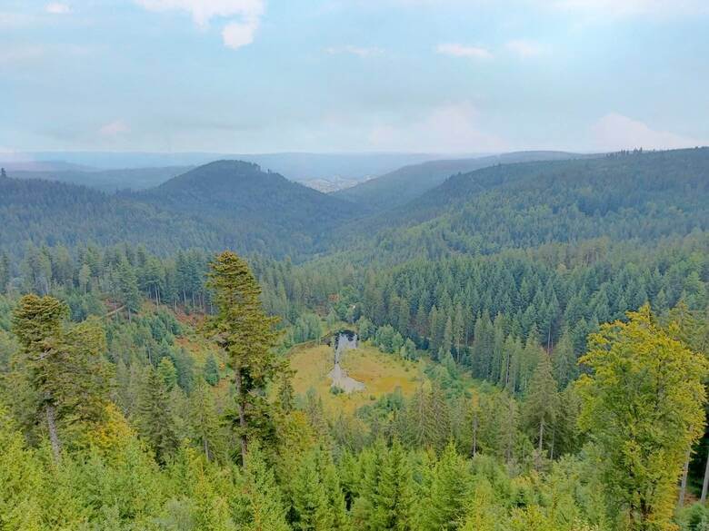 Blick auf den Ellbachsee im Schwarzwald