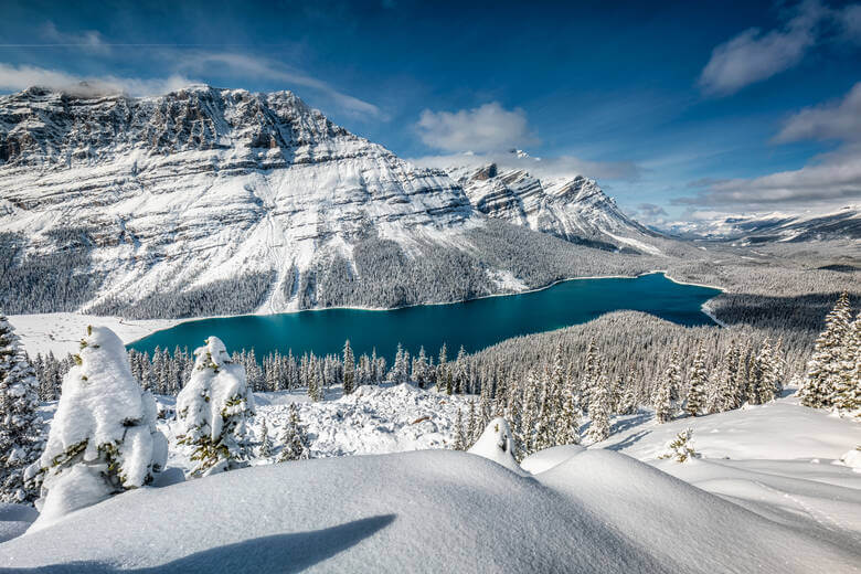 Peyto Lake im Winter mit schneebedeckten Wäldern