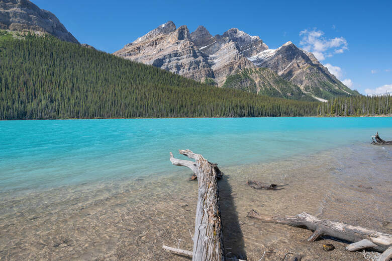 Eine Aufnahme vom Ufer des Peyto Lake mit türkisem Wasser