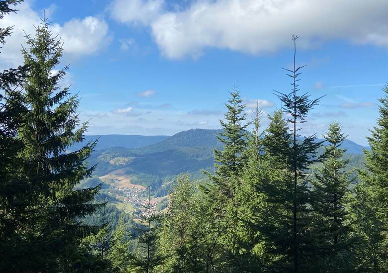 Blick in ein Tal im Schwarzwald