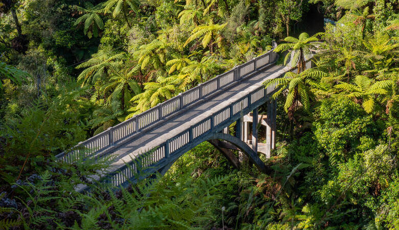 Bridge to Nowhere umgeben von Regenwald