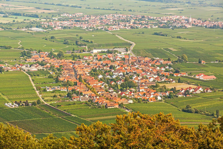 Ortschaft Edenkoben in der Pfalz