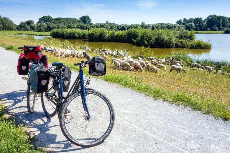 Fahrrad mit Gepäcktaschen