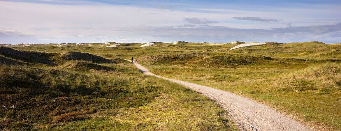 Fahrradfahrer auf dem Nordseeküstenradweg in Dänemark