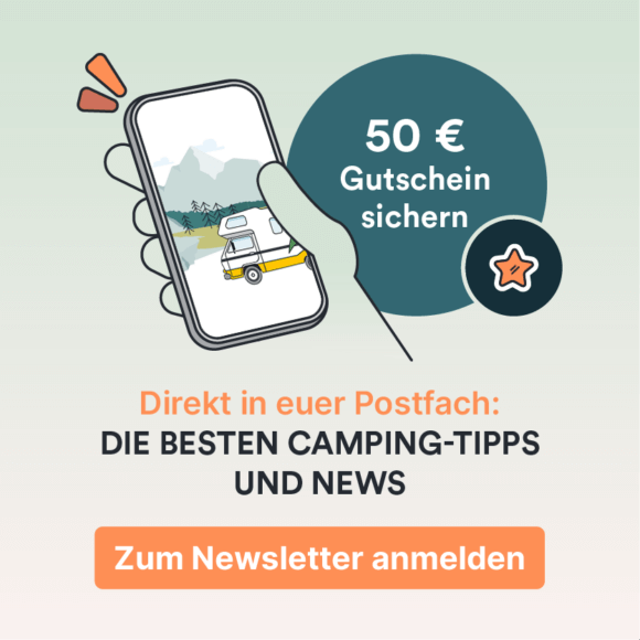 Newsletter-Widget
