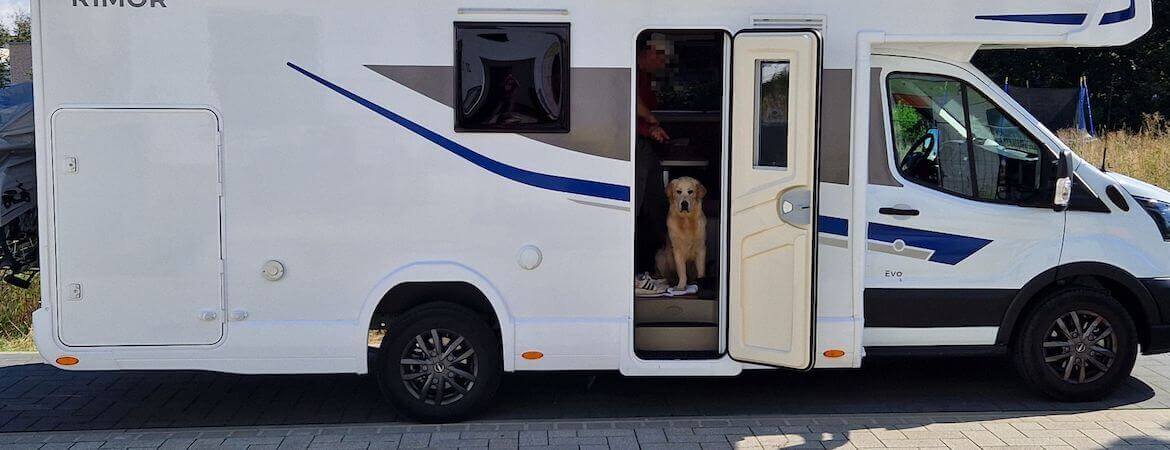 Hund schaut aus der Tür eines Wohnmobils
