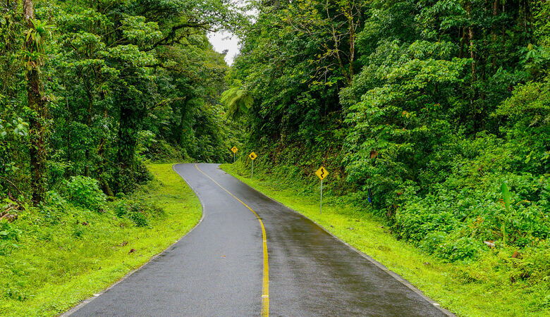 Straße durch den Wald in Costa Rica