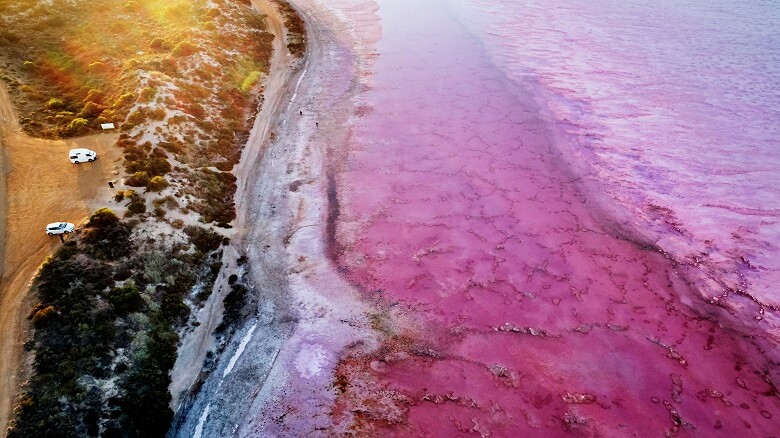 Camper stehen an einem pinkfarbenen See in Australien