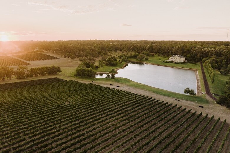 Abendlicht über der Weinregion Margaret River in Australien