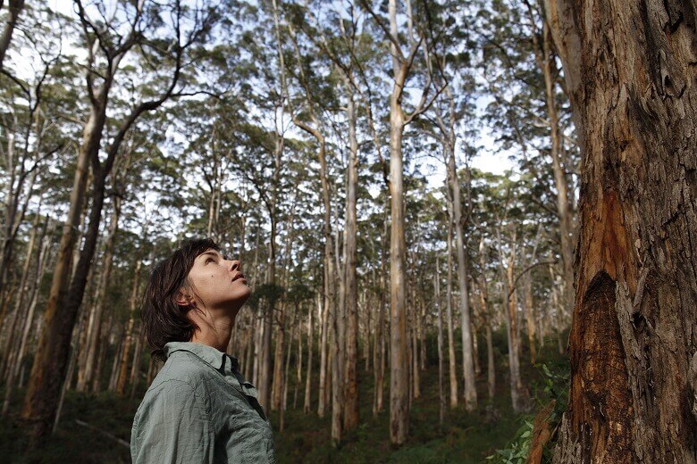 Frau staunt über Baumriesen in Australien