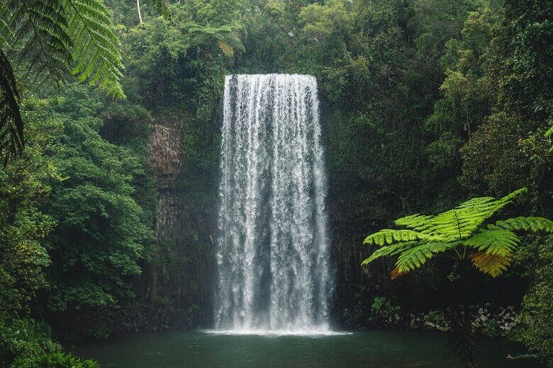 Wasserfall im tropischen Queensland in Australien