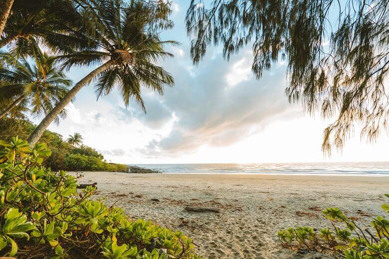 Strand mit Palmen in Australien am Abend