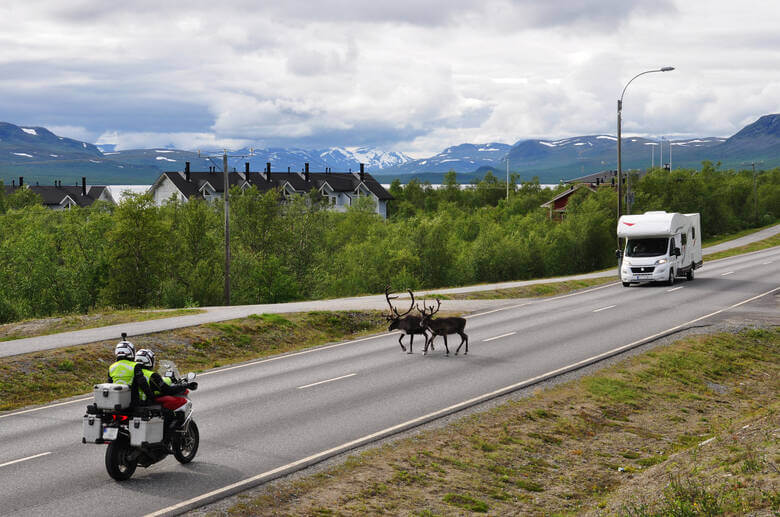 Wohnmobil, Motorradfahrer und ein Elch auf einer Straße in Finnland 
