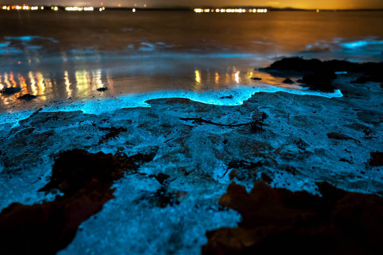 Biolumineszentes Licht an einem Strand in Australien