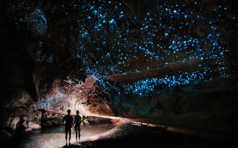 Glühwürmchen in der Waitomo Cave in Neuseeland 