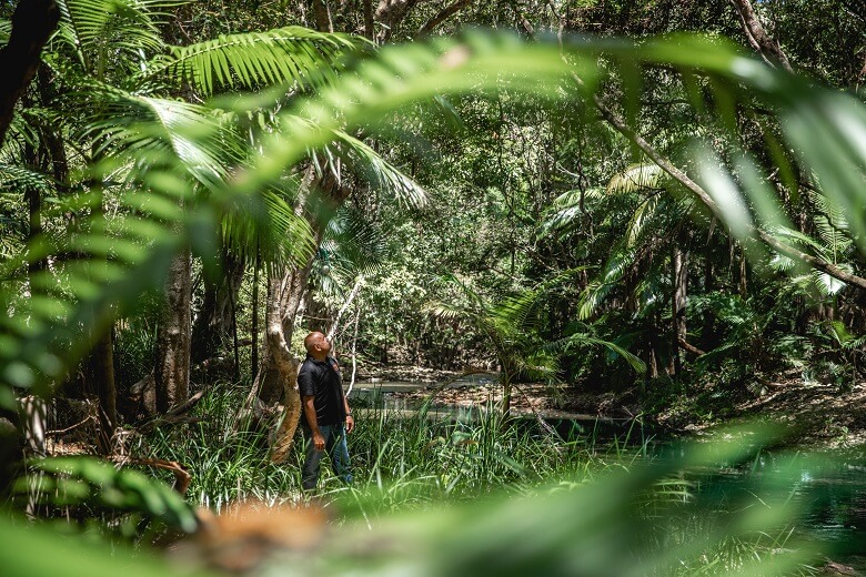Mann spaziert durch Regenwald in Australien
